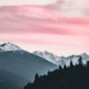 Meet your Posher, Stella